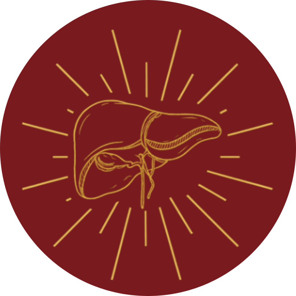Illustration d'un foie stylisé