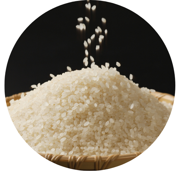 Illustration de riz
